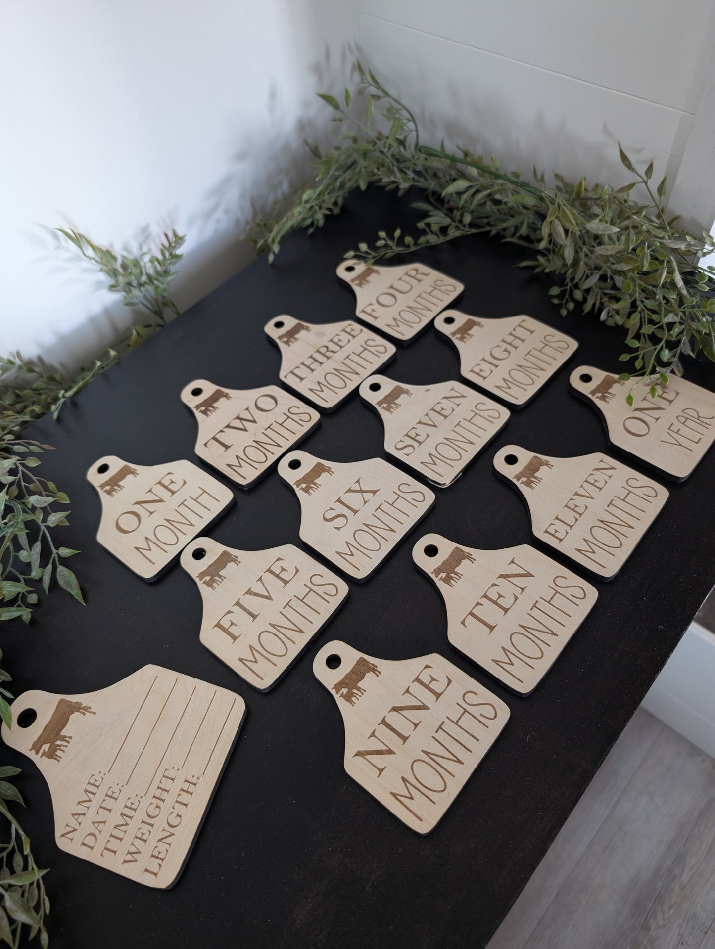 Birth announcement tag/ Monthly Milestones/cow tag