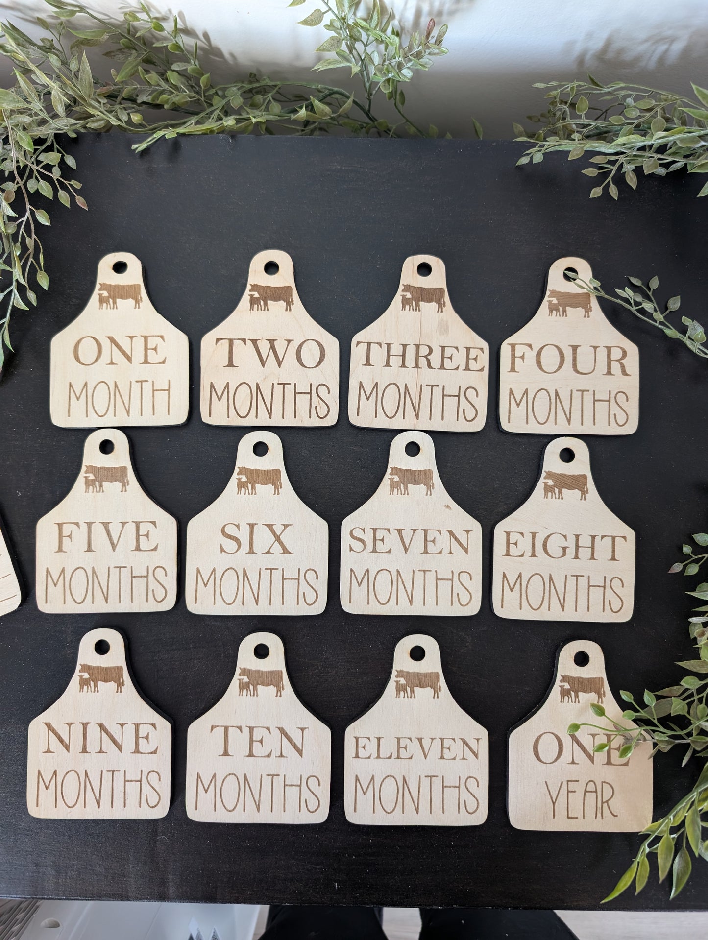 Birth announcement tag/ Monthly Milestones/cow tag